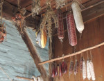 Lammerinkswönner